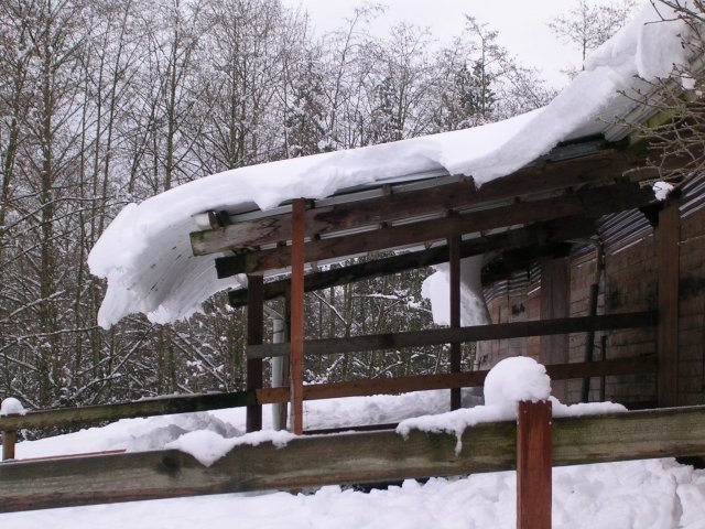 more snow damage pics 008